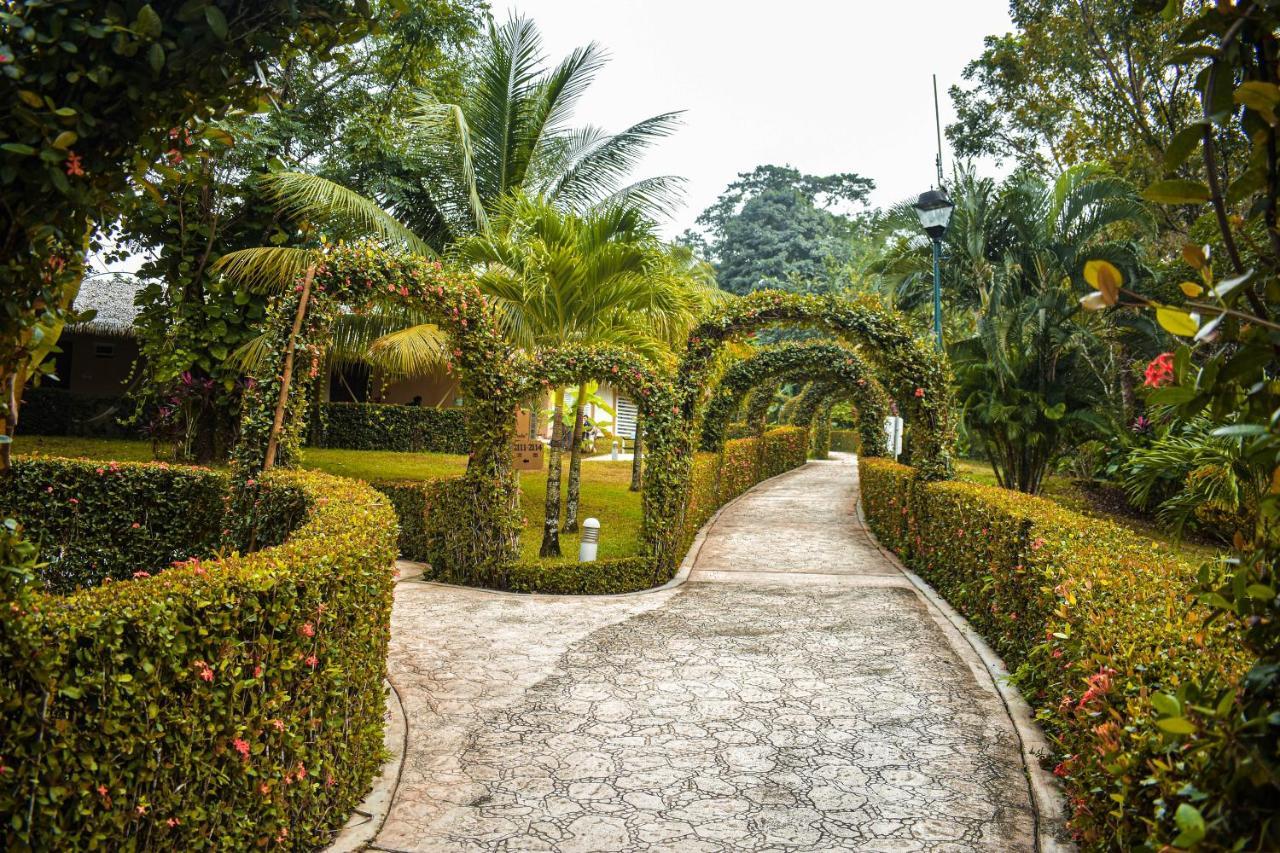 Hotel Villa Mercedes Palenque Extérieur photo